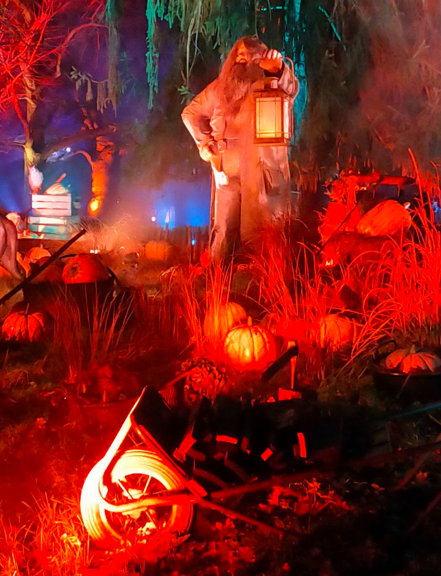 img202501042010358769780345566533083