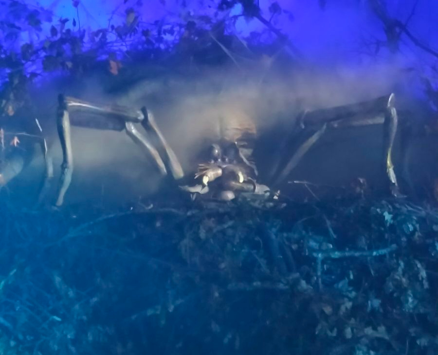 img202501042040287256617459427878291