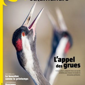 La Salamandre, n°286 : L&rsquo;appel des&nbsp;grues