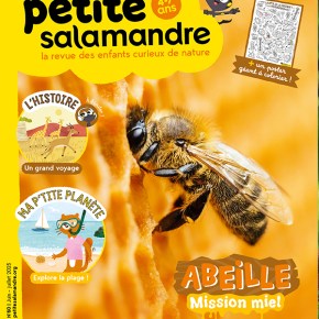 Petite Salamandre, n°60 : Abeille, mission&nbsp;miel
