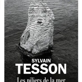 Les Piliers de la mer de Sylvain&nbsp;Tesson