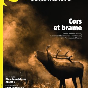 La Salamandre, n°289 : Cors et&nbsp;brame