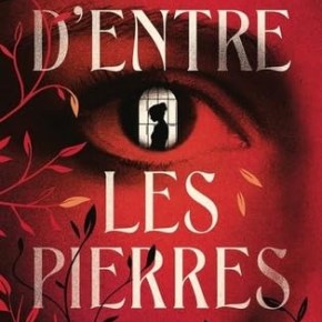 D&rsquo;entre les pierres de Philippe&nbsp;Arnaud