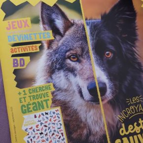 Salamandre Junior, 4-7 ans Hors Série n°13 : Les incroyables destins&nbsp;sauvages