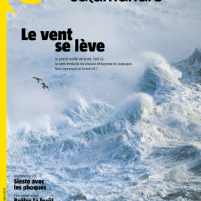 La Salamandre, n°290 : Le vent se&nbsp;lève
