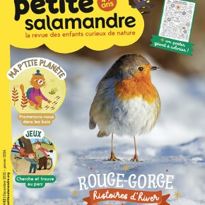 Petite Salamandre, n°63 : Rouge-gorge, histoires&nbsp;d&rsquo;hiver