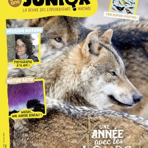 Salamandre Junior, n°163 : Une année avec les&nbsp;loups