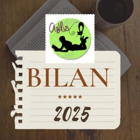 Mon bilan livres/blog&nbsp;2025