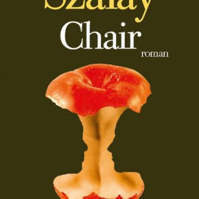 Chair de David&nbsp;Szalay