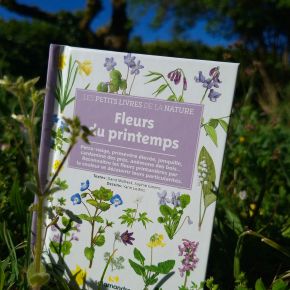 Les Petits Livres de la nature : Fleurs du&nbsp;printemps