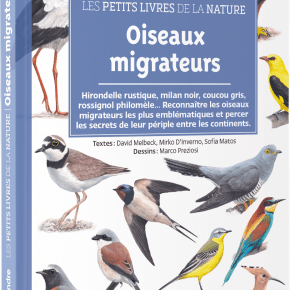 Les Petits Livres de la nature : Oiseaux&nbsp;migrateurs