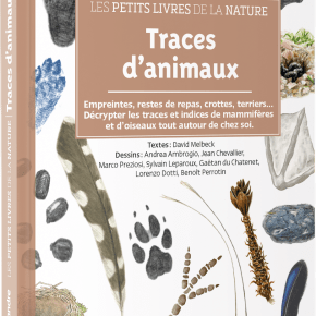 Les Petits Livres de la nature : Traces&nbsp;d&rsquo;animaux