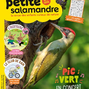 Petite Salamandre, n°65 : Pic Vert en&nbsp;concert