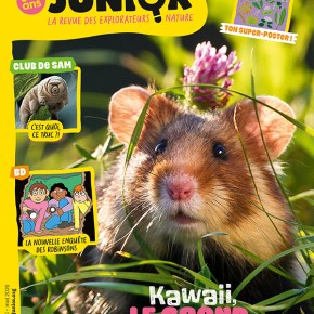 Salamandre Junior, n°165 : Kawaii, le grand hamster&nbsp;?