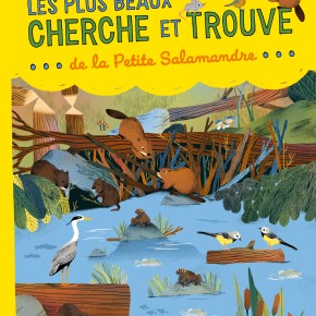 Les Plus Beaux Cherche et trouve de la Petite&nbsp;Salamandre