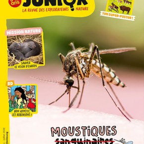 Salamandre Junior, n°166 : Moustiques, sanguinaires&nbsp;sensibles
