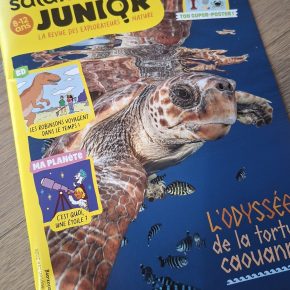 Salamandre Junior, n°167 : L&rsquo;Odyssée de la tortue&nbsp;caouanne