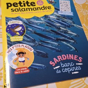 Petite Salamandre, n°67 : Sardines, banc de&nbsp;copines