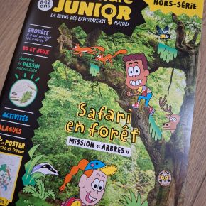 Salamandre Junior, 4-7 ans Hors Série n°15 : Safari en forêt mission &laquo;&nbsp;arbres&nbsp;&raquo;