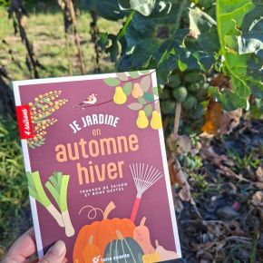 Je jardine en automne, hiver : travaux de saison et bons&nbsp;gestes