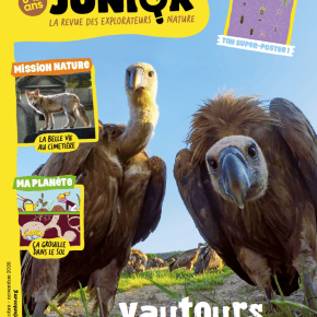 Salamandre Junior, n°168 : Vautours, portraits de&nbsp;famille