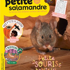Petite Salamandre, n°68 : Petite souris habite&nbsp;ici